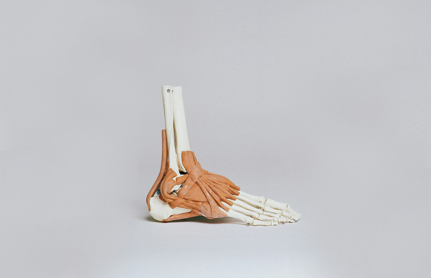 Fix Your Duck Feet